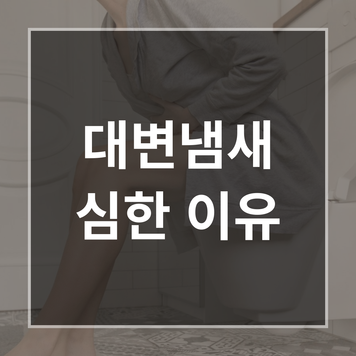 대변냄새 심한이유